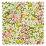 Swatch of Apple Blossom by Porter And Stone