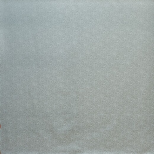 Crater Carbon Fabric