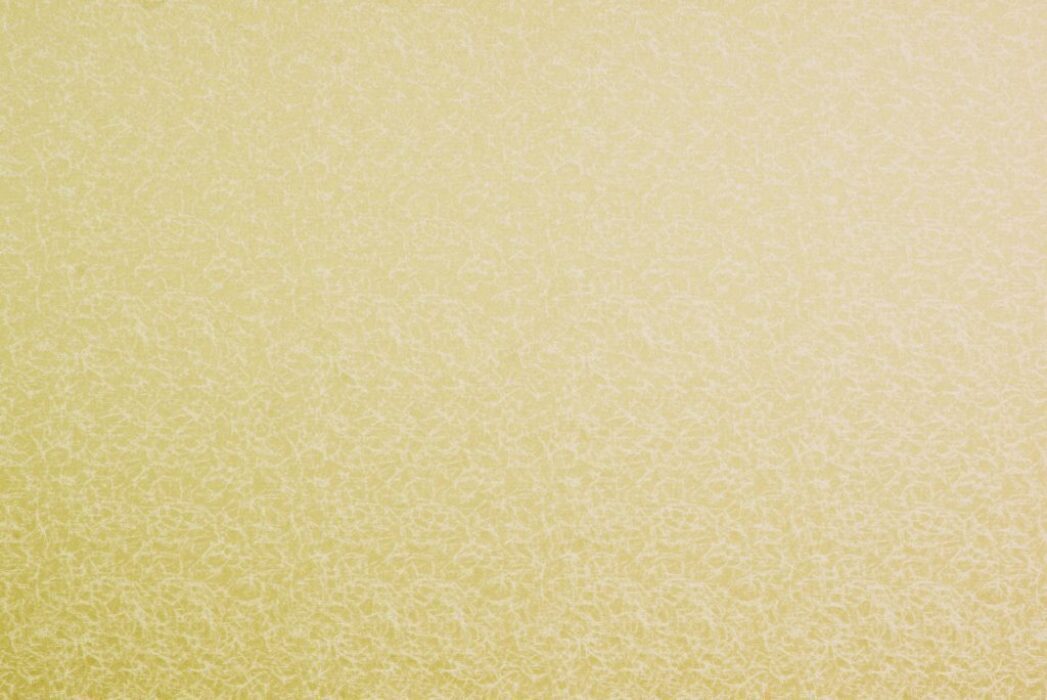 Wick Zest Fabric Flat Image