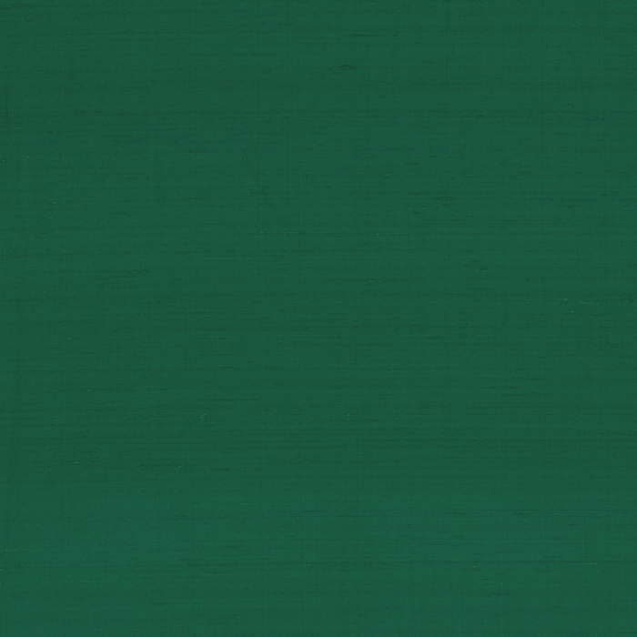 Sylph Money Flat Image