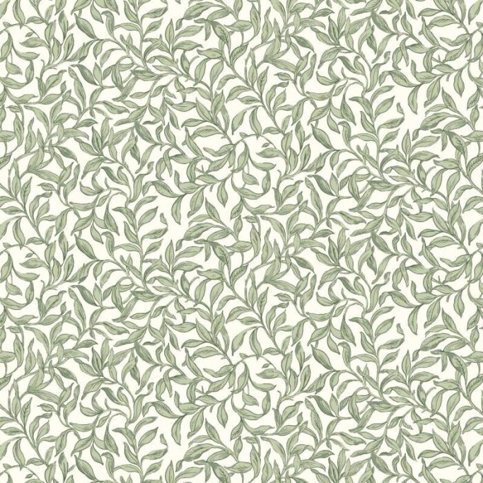 Entwistle Willow Roller Blind