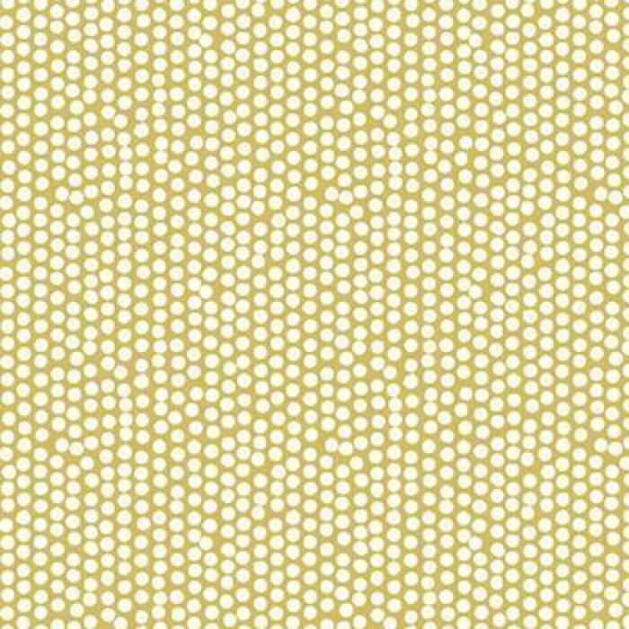 Made To Measure Roman Blinds Spotty Ochre Flat Image