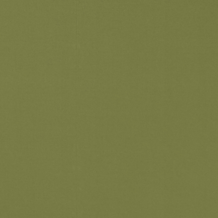 Made To Measure Roman Blinds Novara Leaf