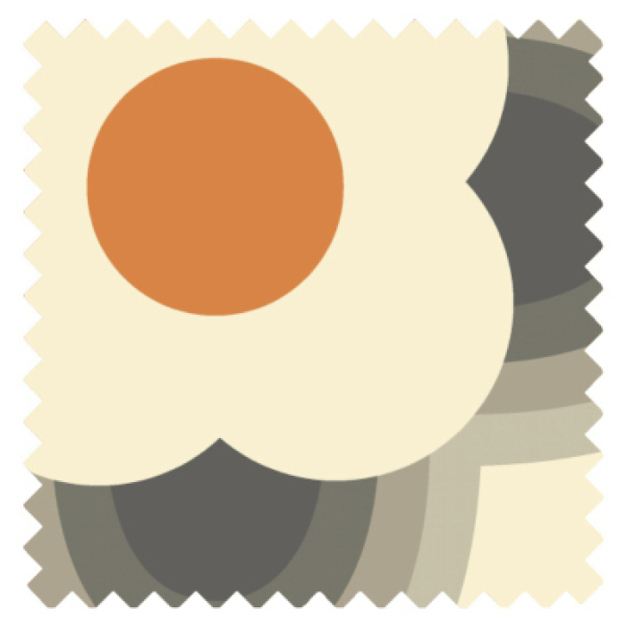 Striped Petal Orange Blackout