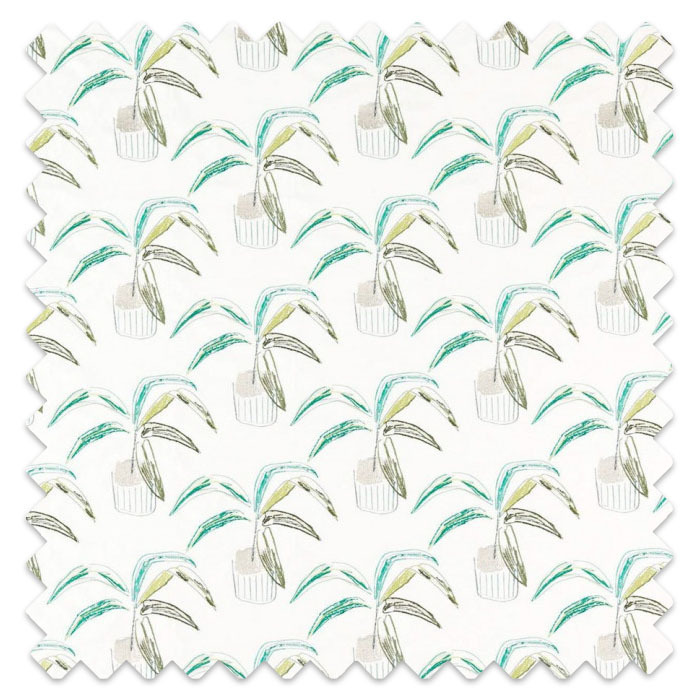 Swatch of Crassula Juniper Lime Moss by Scion