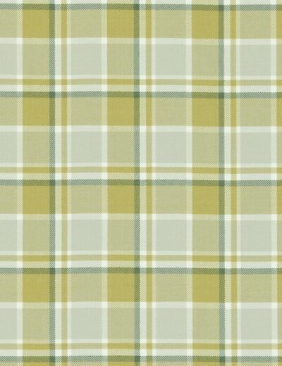 Clake & Clarke's Bowland Citrus Fabric