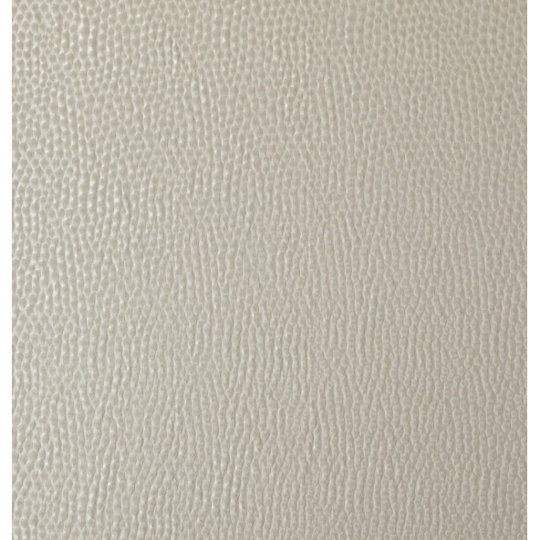 Taurus Champagne Fabric by Ashley Wilde