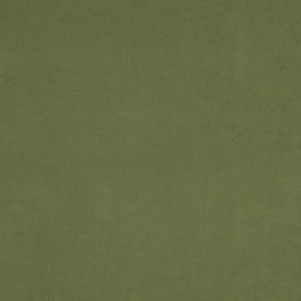 Compton Turtle Fabric Flat Image