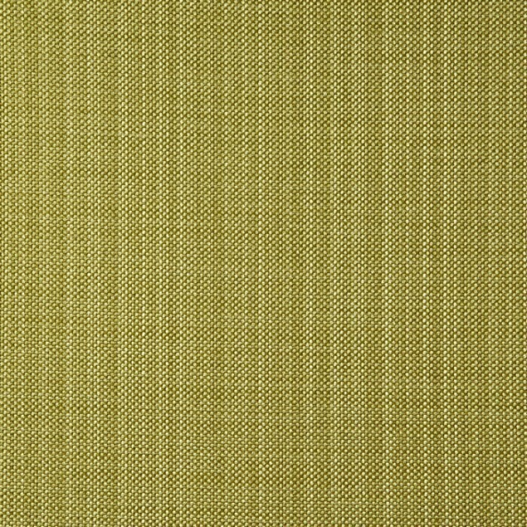Gem Lime Fabric
