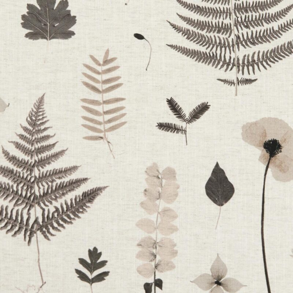 Herbarium Charcoal/Natural Fabric