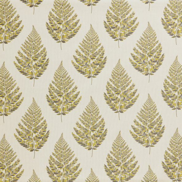 Frond Fennel Fabric Flat Image