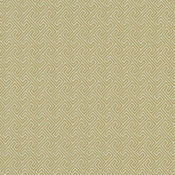 Mercury Citron Fabric