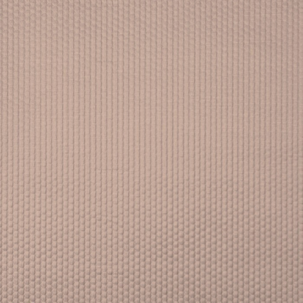 Emboss Shell Fabric Flat Image