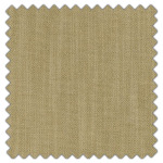 Swatch of Amina Moss