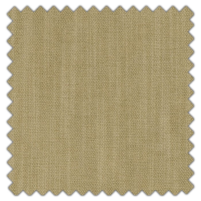 Swatch of Amina Moss