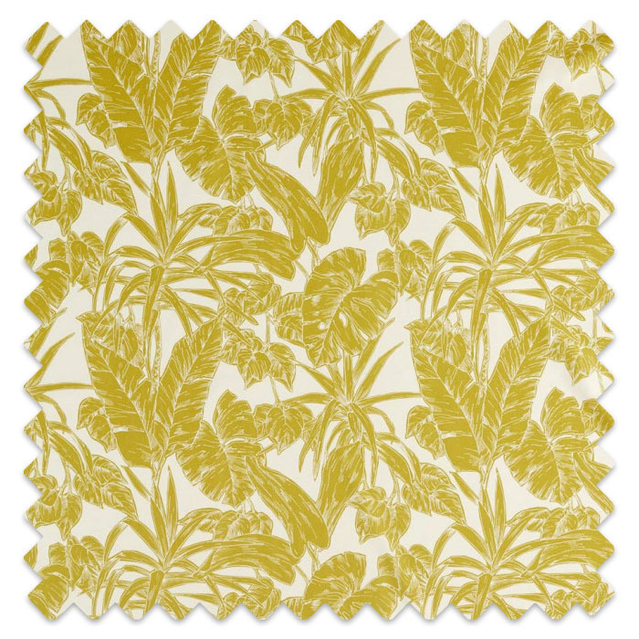 Swatch of Parlour Palm Citrus by Scion