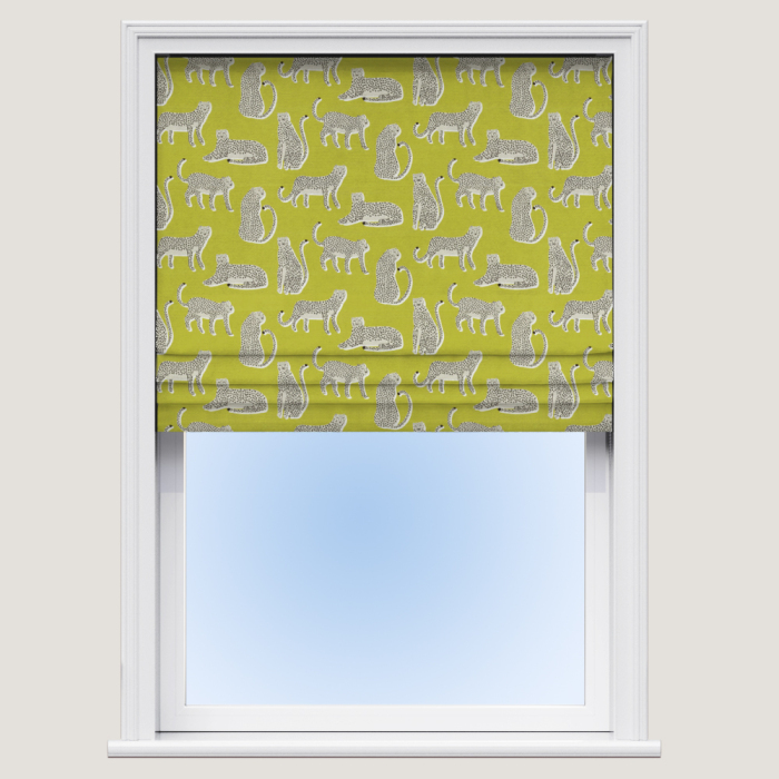 Lionel Zest Roman Blind