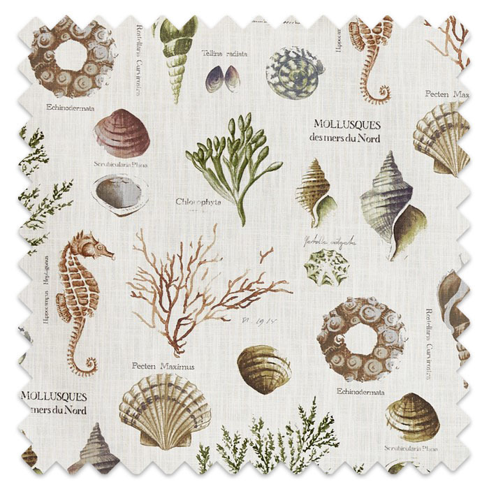 Swatch of St Helier Sea Weed