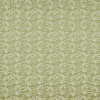 Caravelle Pistachio Fabric by iLiv
