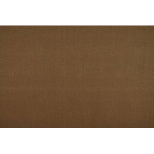 Cole Otter Fabric by Ashley Wilde