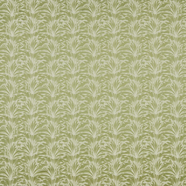 Caravelle Pistachio Fabric by iLiv