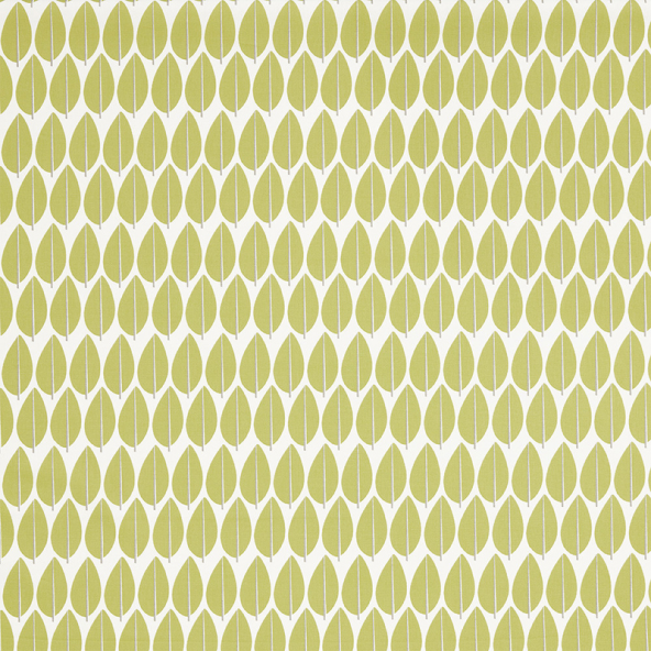 Lazza Kiwi Fabric Flat Image