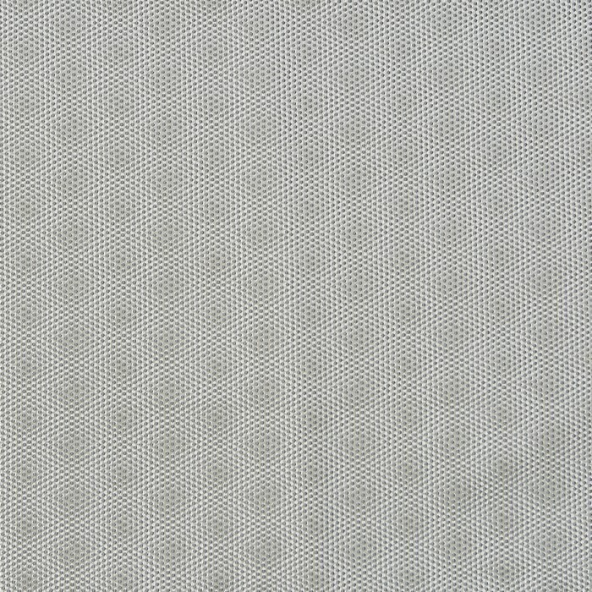 Limitless Carbon Fabric