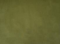 Alaska Fern Fabric Flat Image