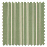 Swatch of Breton Thyme