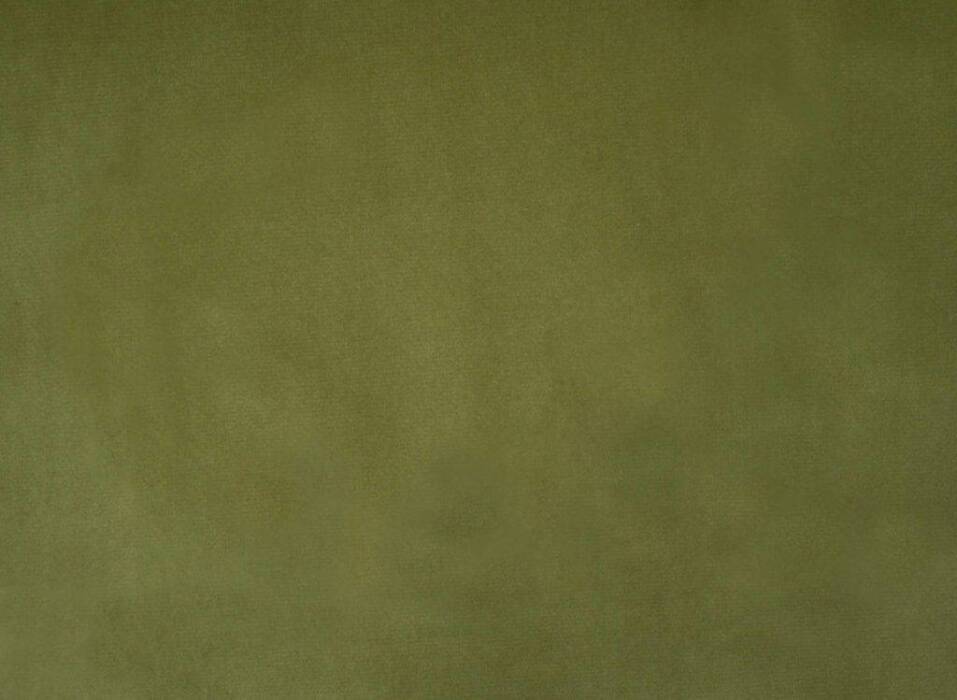 Alaska Fern Fabric Flat Image