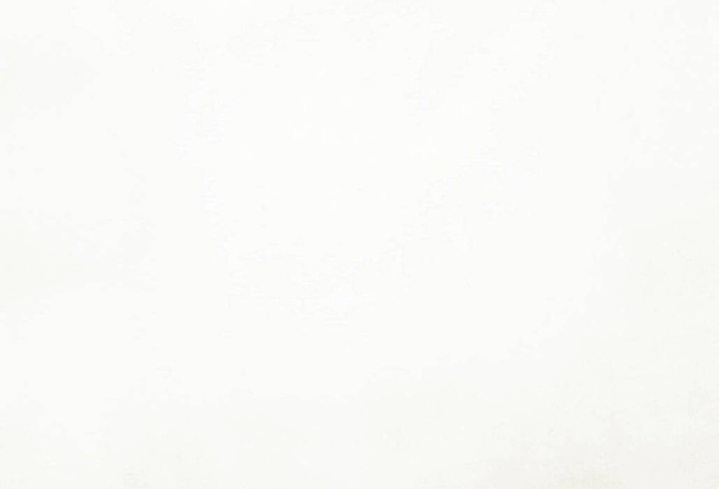 Alaska Pearl Fabric Flat Image