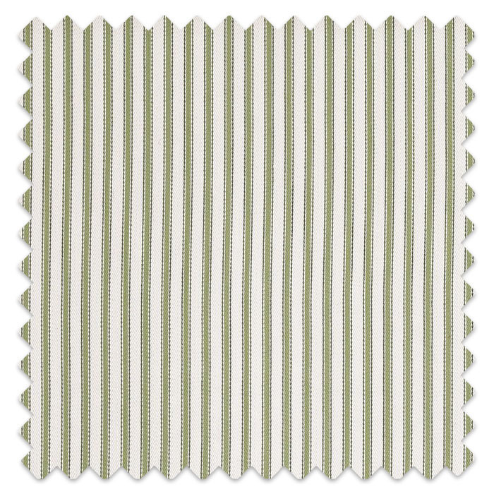 Swatch of Bude Sea Weed