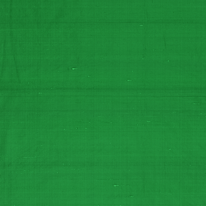 Sylph Fern Flat Image