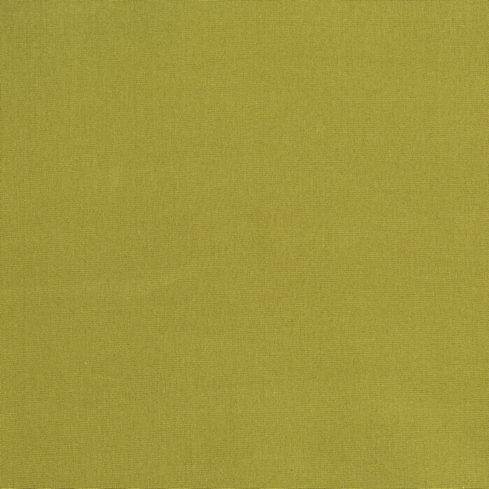 Made To Measure Roman Blind Core Gooseberry