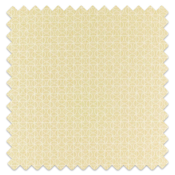 Swatch of Notion Citrus by Scion