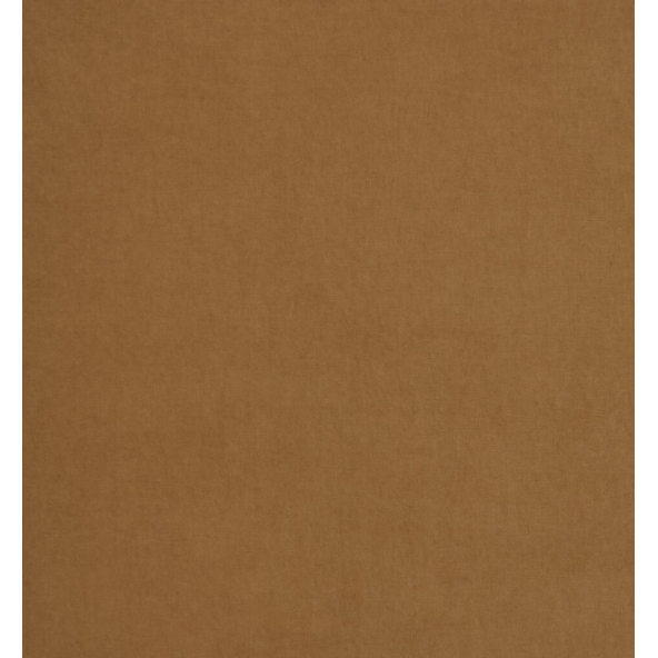 Arezzo Tan Fabric by Ashley Wilde