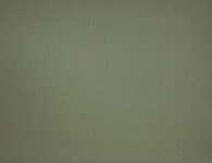 Isla Fern Fabric Flat Image