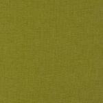 Nirvana Apple Fabric Flat Image