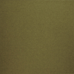 Canvas Pistachio Fabric Flat Image