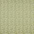 Caravelle Pistachio Fabric by iLiv