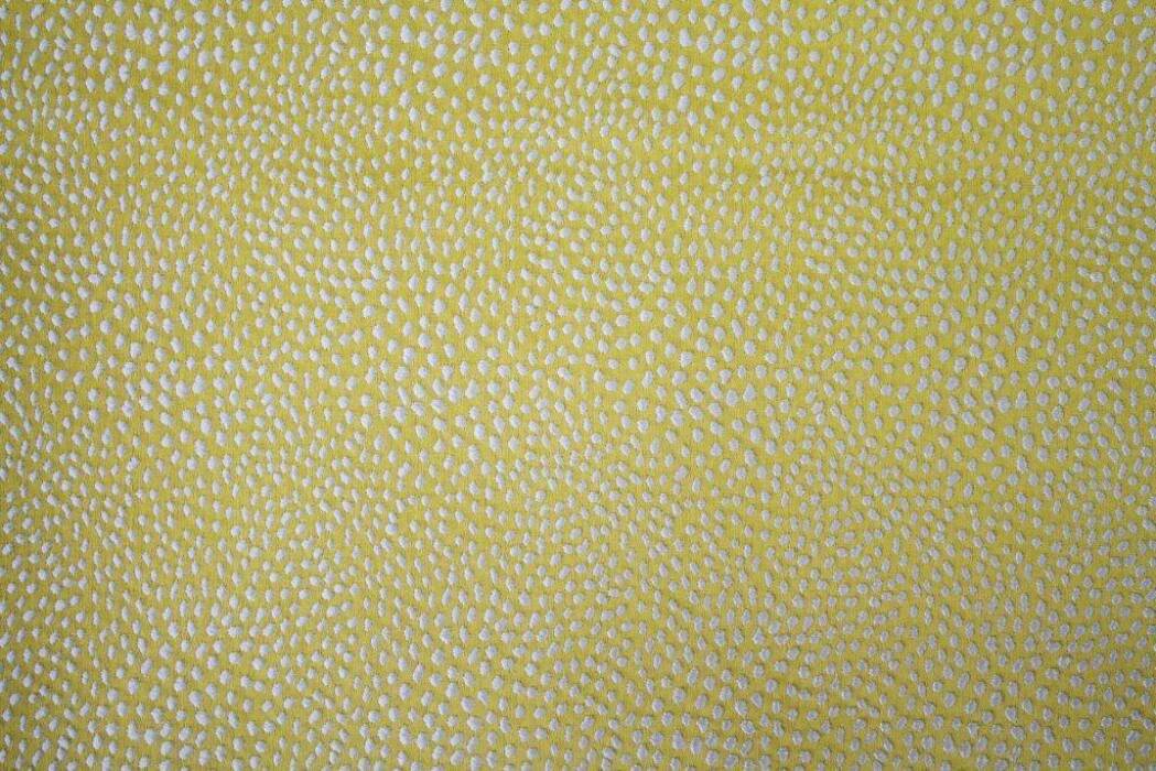 Blean Zest Fabric Flat Image