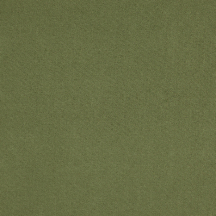 Compton Turtle Fabric Flat Image