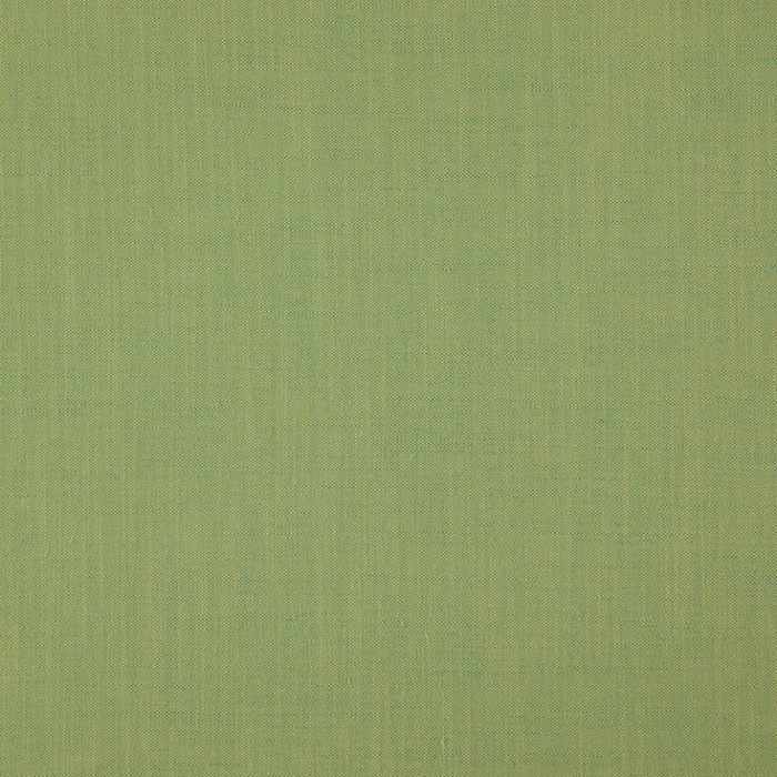 Linden Kiwi Crush Fabric Flat Image