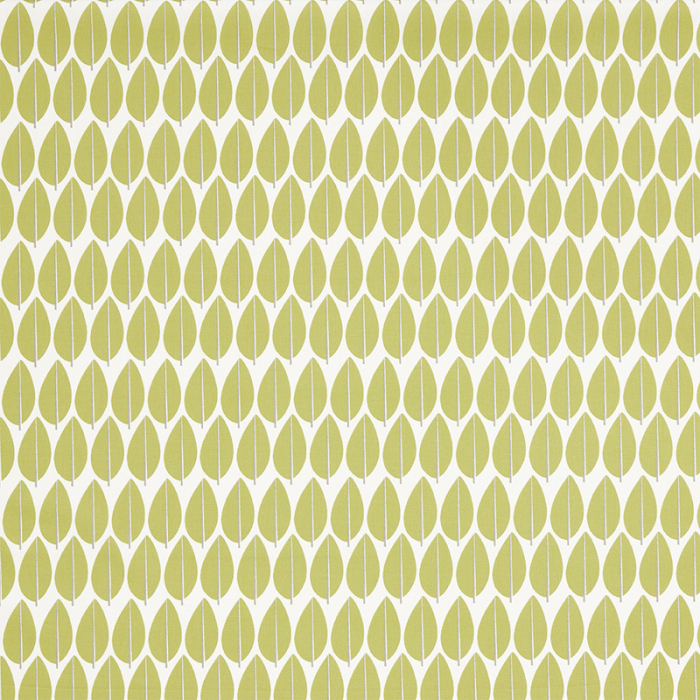 Made To Measure Roman Blinds Lazza Kiwi Flat Image