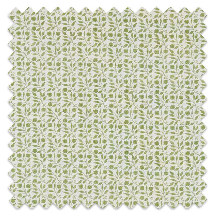 Swatch of Rosehip Thyme