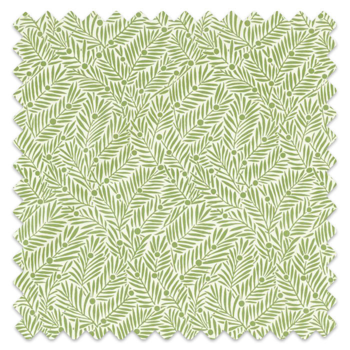 Swatch of Yew & Aril Sage