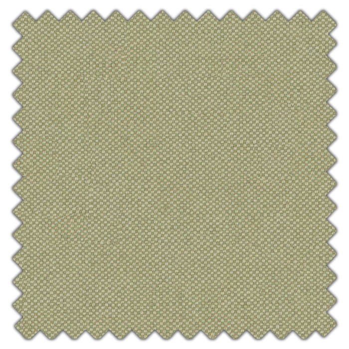 Swatch of Shani Olive