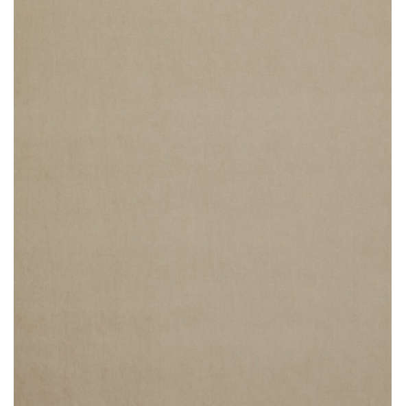 Arezzo Putty Fabric by Ashley Wilde