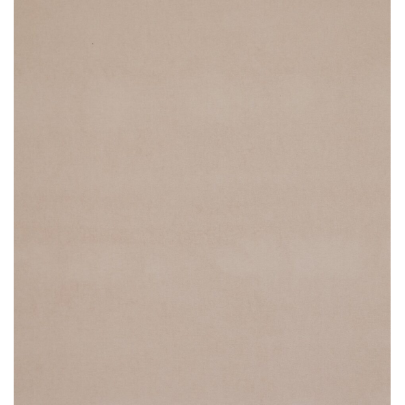 Arezzo Shell Fabric by Ashley Wilde