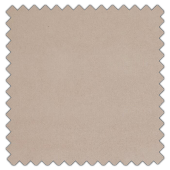 Swatch of Arezzo Shell by Ashley Wilde